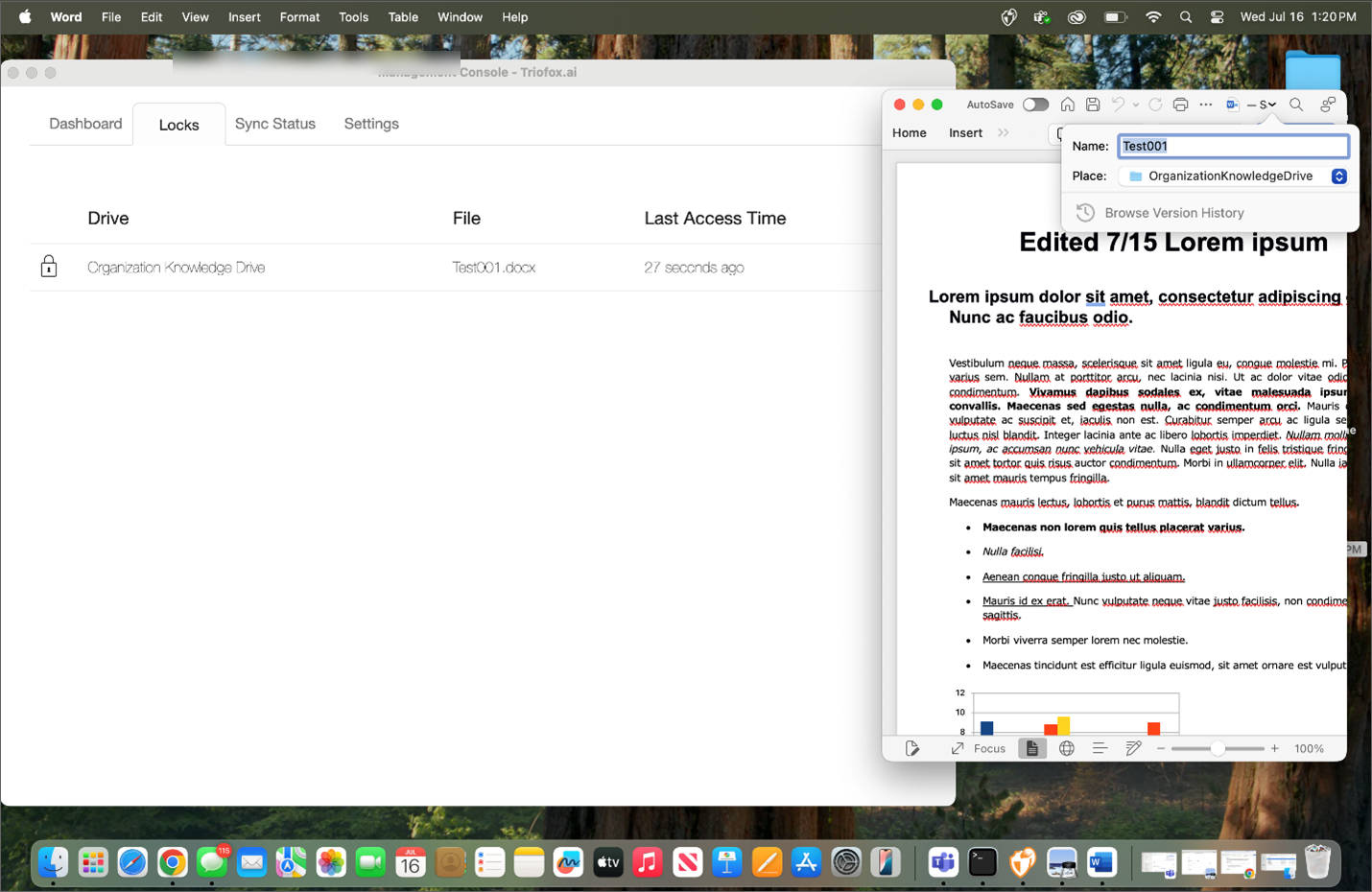 File locking preventing simultaneous edits